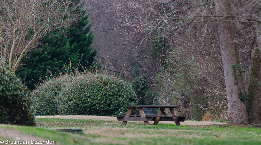 Picnic, Anyone?