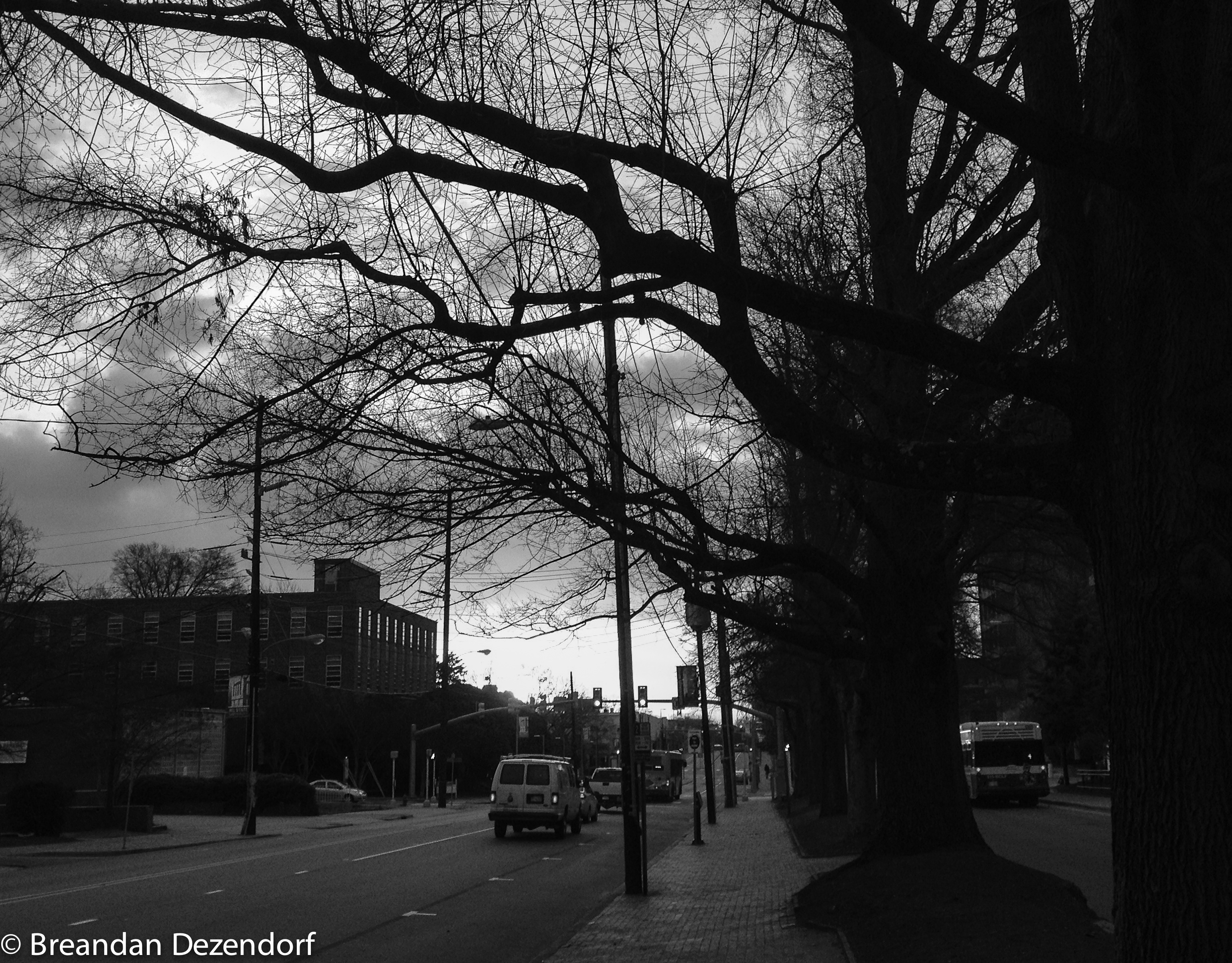 Black And White Winter Sunrise