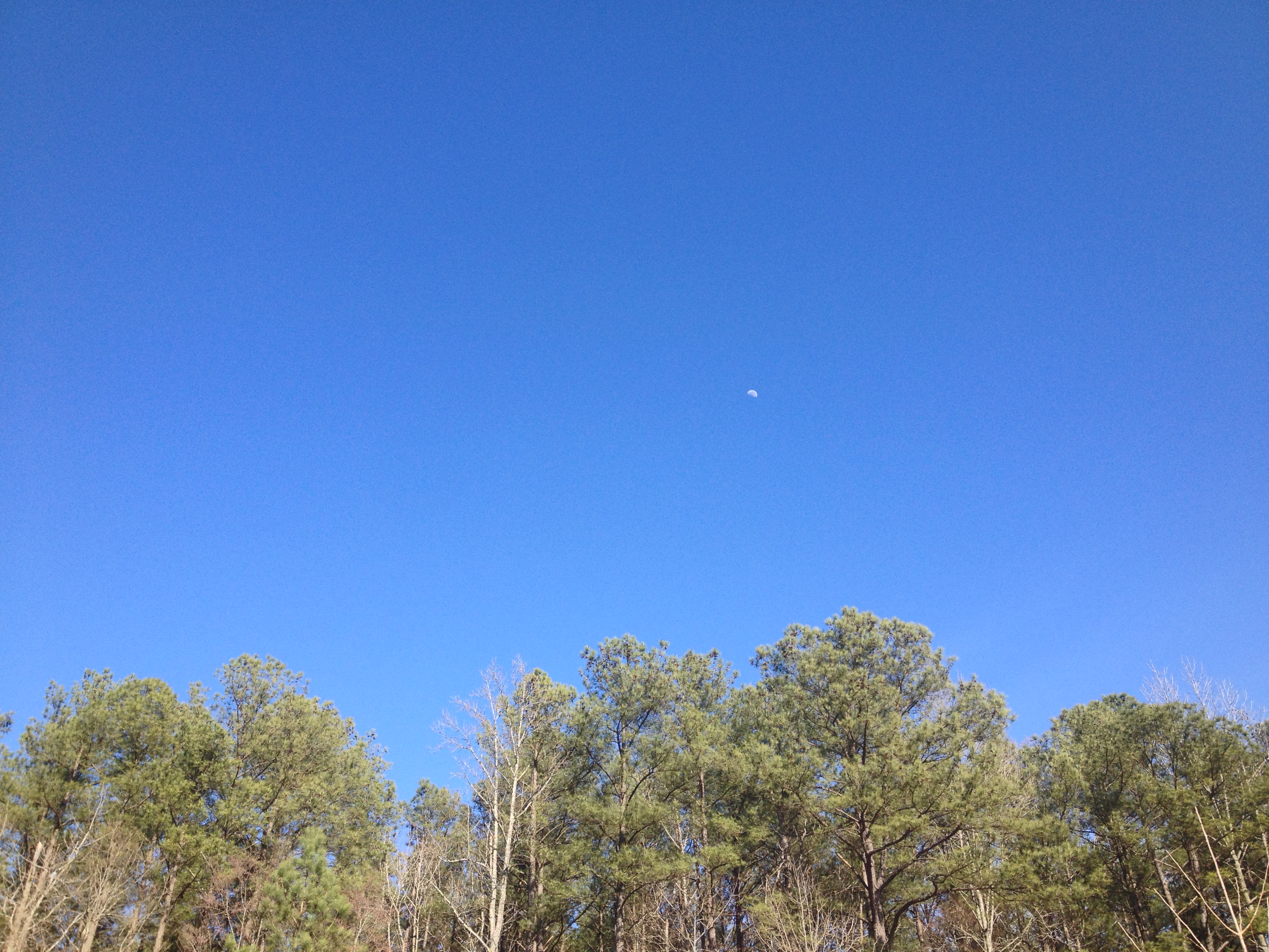 Afternoon Moonrise
