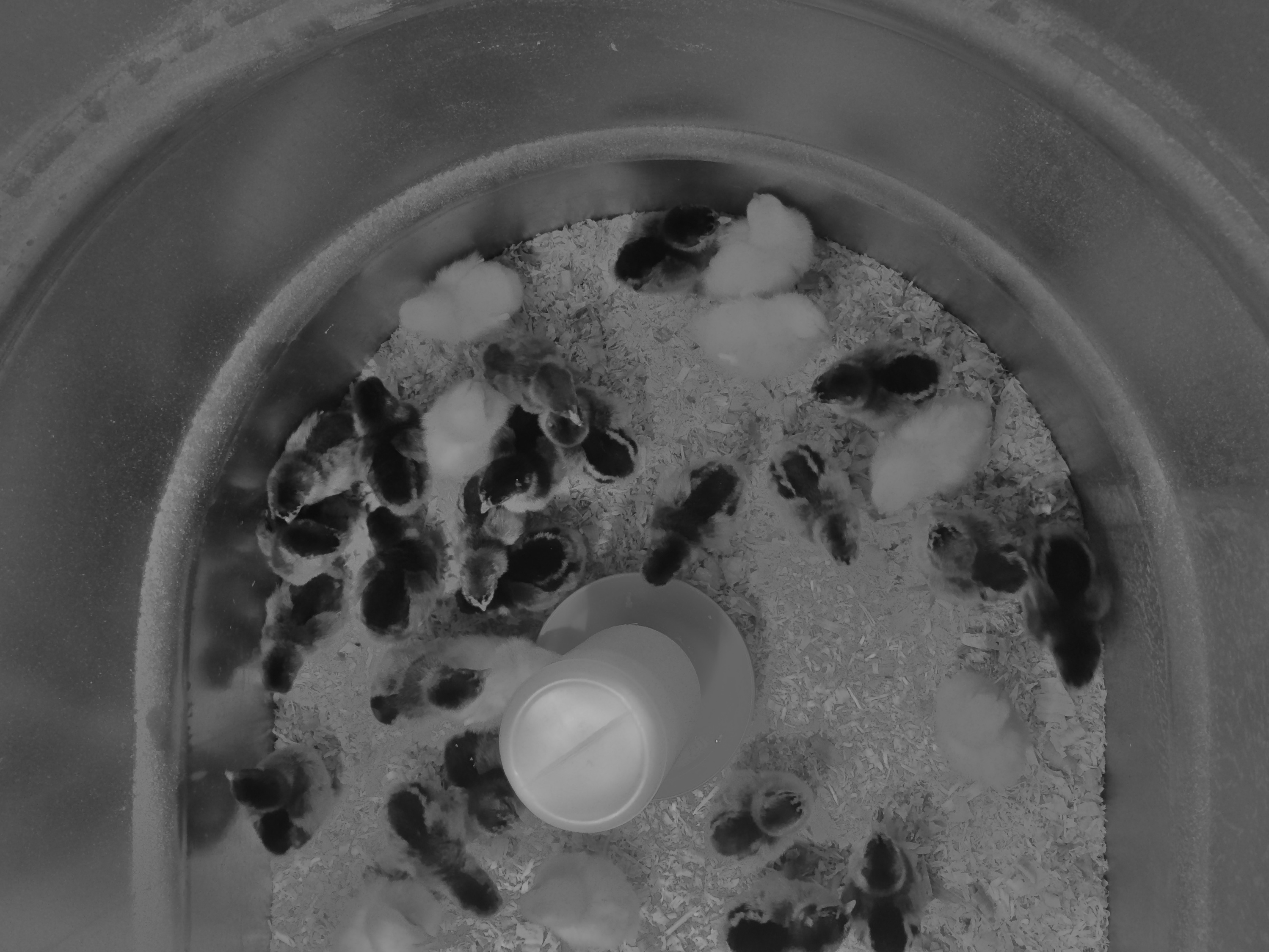 2014-03-24 18.31.10