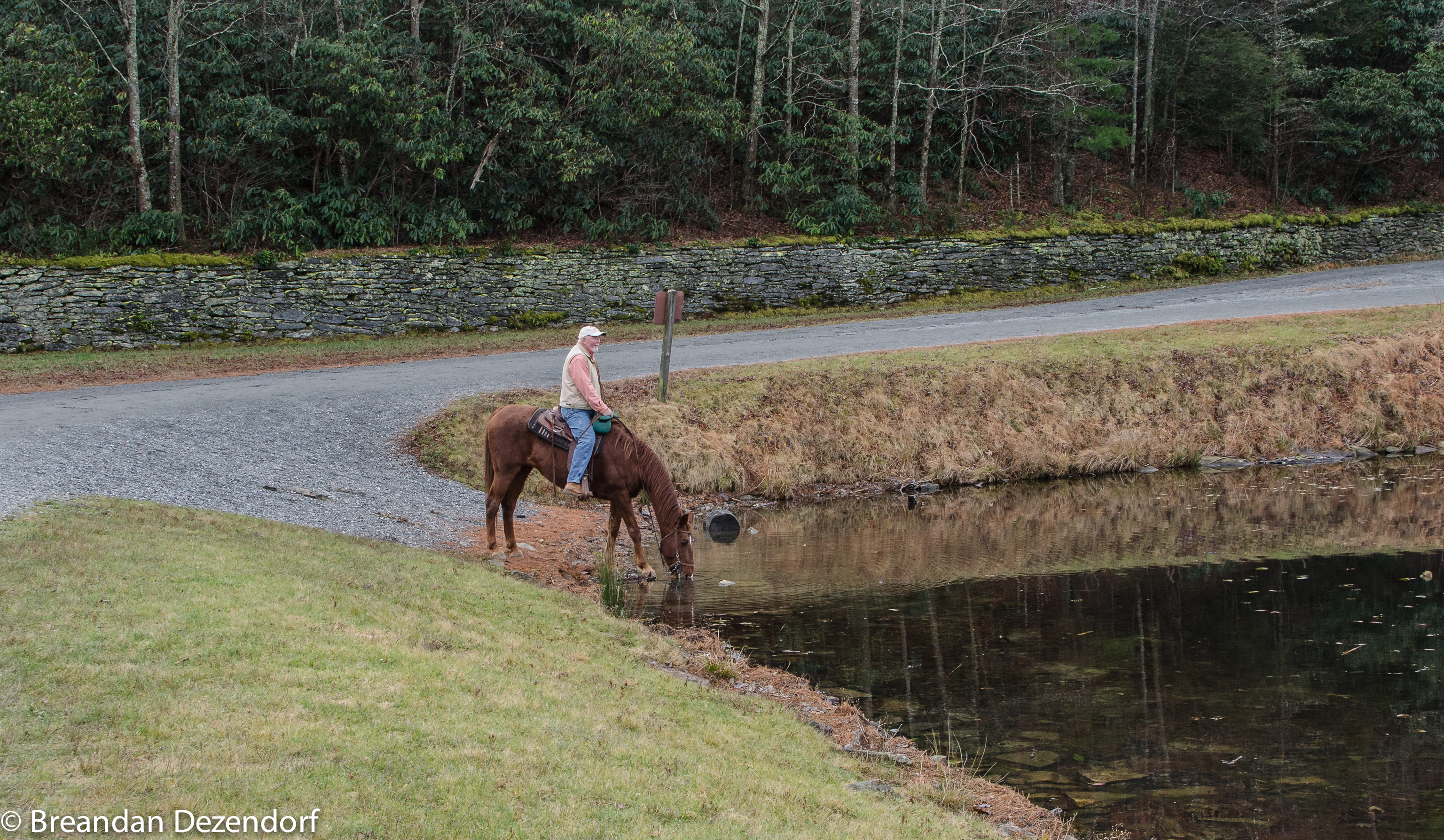 DSC_4310